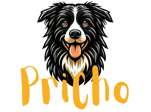 Pricho Logo Main